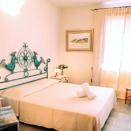 Hotel With Swimming Pool In Arbus *